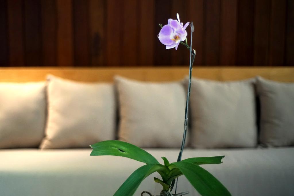 Bale Mandala Villas Senggigi Dış mekan fotoğraf